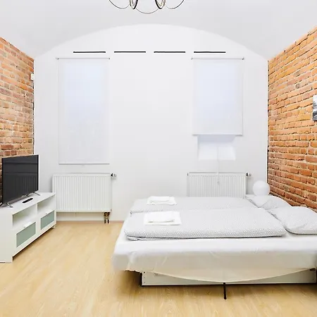 Zborovska Apartamento *